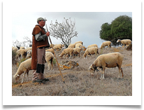 Shepherding on the Algarve digital - Jan Hodson